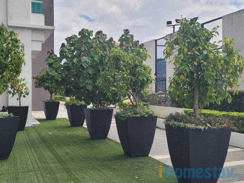 Ipoh D'Festivo Residences @ 3R / 2B